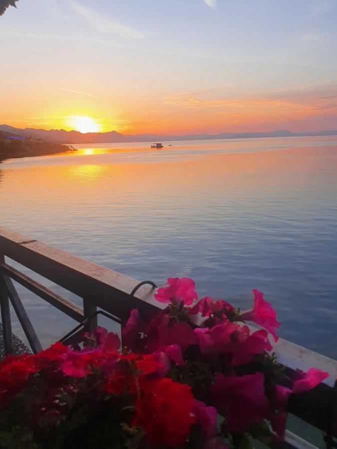 Hotel Piccolino Shkodër Eksteriør bilde