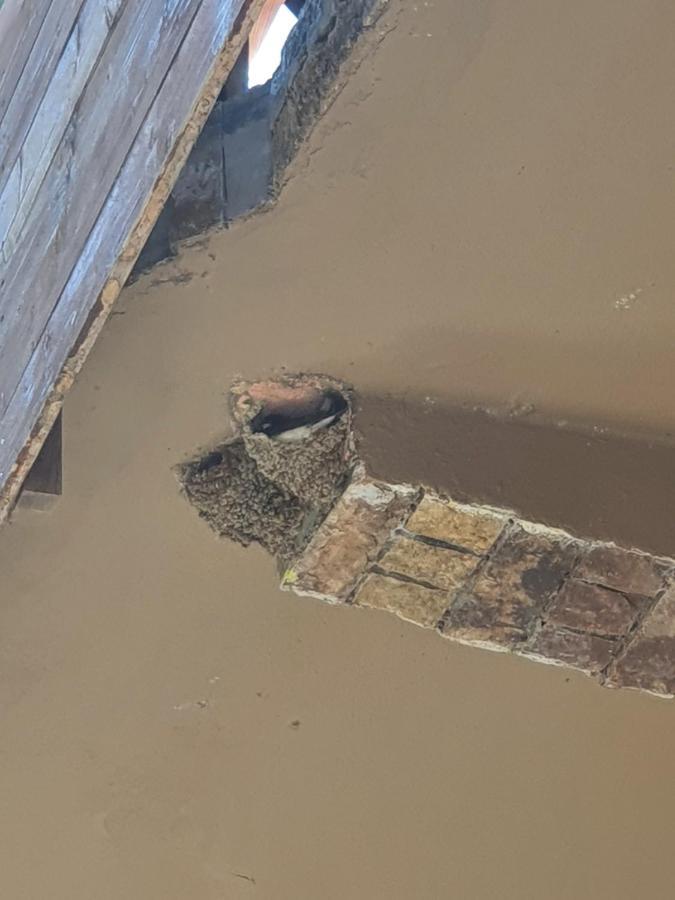 Hotel Piccolino Shkodër Eksteriør bilde